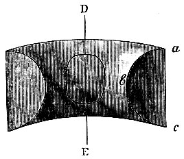 Рис. 83. Поверхность, образовавшаяся от движения дуги abc вокруг оси ED, лежащей вне круга. Пунктиром обозначена часть этой поверхности, представляемая седловидными суставами