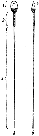 Рис. 9. Сперматозид человека (схема). А - с плоскости; Б - сбоку; 1 - головка; 2 - шейка; 3 - хвост; 4 - перфораторий