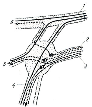 . 344. Ganglion pterygopalatinum (). 1 - n. maxillaris; 2 - n. petrosus major; 3 - n. petrosus profundus; 4 - nn. palatini; 5 - nn. nasales posteriores; 6 - n. zygomaticus