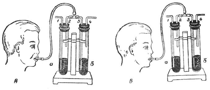 Рис. 25. Схема действия прибора 'Дыхательные клапаны' при вдохе (А) и выдохе (Б): а - левый цилиндр; б - правый цилиндр; 1, 2, 3, 4 - трубки прибора