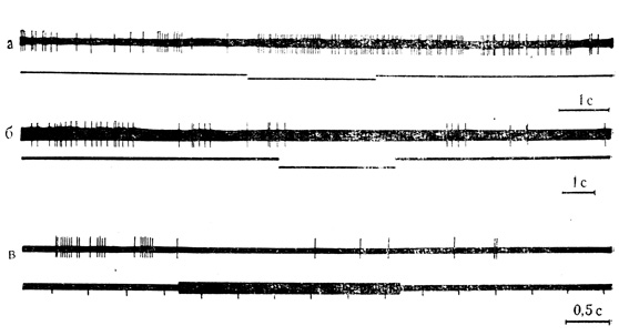 Рис. 10. Ответы нейронов зрительной коры на действие звукового стимула. а - клетка на глубине 0,8 мм; активация нейрона при действии звукового стимула (тон), продолжающаяся в последействии; б - клетка на глубине 1,2 мм, торможение разрядов при действии звукового стимула; в - клетка на глубине 1,16 мм, торможение ответов нейрона на вспышки света при действии звукового стимула, сохраняющееся в последействии. Горизонтальные линии на нижнем луче - отметка звука; вертикальные черточки - отметка света (М. Я. Рабинович и др., 1968)