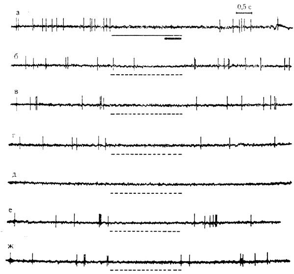 Рис. 44. Тормозные условные реакции на время нейрона двигательной коры. а - 19-е сочетание на клетке, которому предшествовало 146 сочетаний на животном; б - ж - серия из 6 последовательных пропусков сочетаний (пунктирные линии) с 30-секундными интервалами. Следовому торможению активности предшествуют небольшие пачки разрядов (в, е, ж)
