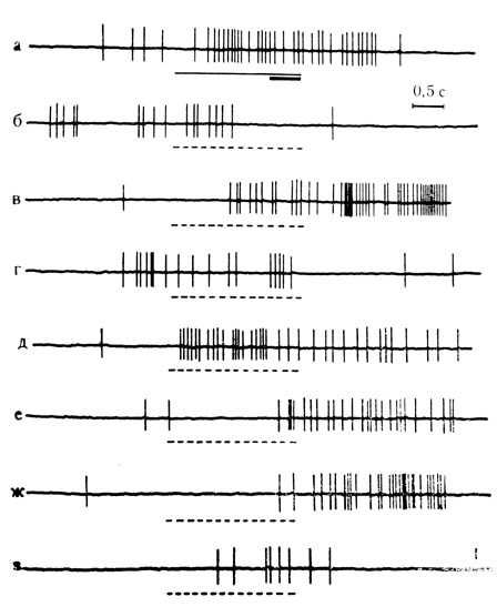 Рис. 47. Активирующие условные реакции на время нейрона миндалины. а - 41-е сочетание; небольшая опережающая реакция клетки на время; б - первый пропуск сочетания; в - з - серия из 6 последовательных пропусков сочетаний, начиная с 5-го. (Во 2-4-м пропусках следовые условные реакции на время отсутствовали.) Наиболее интенсивная следовая реакция возникла в 7-м пропуске (д). Предшествующая разрядам тормозная фаза хорошо выражена в первом пропуске (Ф. В. Копытова, Ю. С. Медникова, 1972)