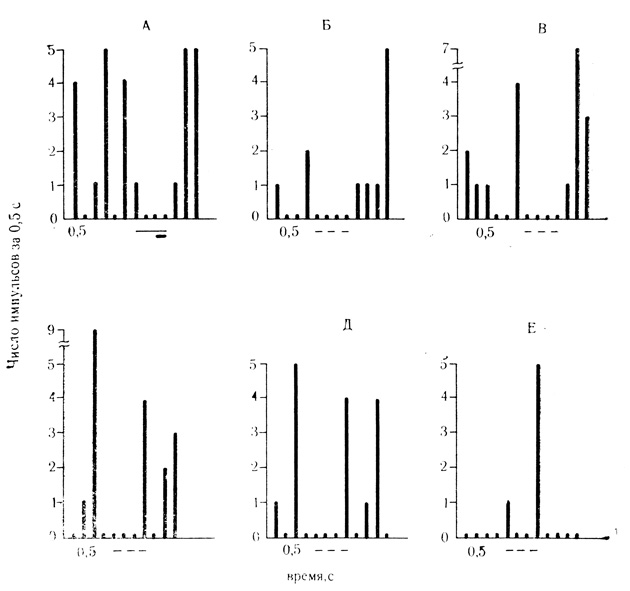 Рис. 48. Тормозные условные реакции на время нейрона миндалины. А - 25-е сочетание; Б-Е - 4, 6, 7, 8 и 9-й пропуски сочетаний. В остальных пропусках (1-3-й и 5-й) условные реакции  на время отсутствуют. Тормозным реакциям на время  предшествуют отчетливо выраженная активация клетки (Б-Д). В 9-м пропуске (Е) тормозная условная реакция на время угашена; наблюдается растормаживание(Ф. В. Кюпытоза, Ю. С. Медникова, 1972)